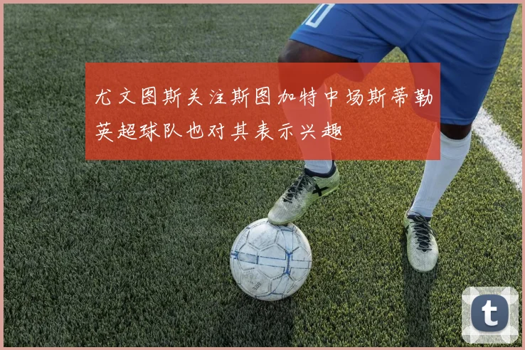 尤文图斯关注斯图加特中场斯蒂勒英超球队也对其表示兴趣